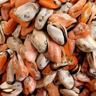 Marisco desconchado